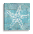 Cerulean Shell Ii - June Erica Vess | Cuadro decorativo de Canvas Lab