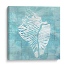 Cerulean Shell Iii - June Erica Vess | Cuadro decorativo de Canvas Lab