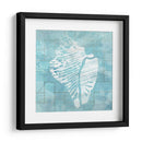 Cerulean Shell Iii - June Erica Vess | Cuadro decorativo de Canvas Lab