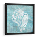 Cerulean Shell Iii - June Erica Vess | Cuadro decorativo de Canvas Lab