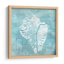 Cerulean Shell Iii - June Erica Vess | Cuadro decorativo de Canvas Lab