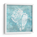Cerulean Shell Iii - June Erica Vess | Cuadro decorativo de Canvas Lab