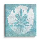 Cerulean Shell Iv - June Erica Vess | Cuadro decorativo de Canvas Lab