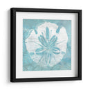 Cerulean Shell Iv - June Erica Vess | Cuadro decorativo de Canvas Lab