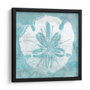 Cerulean Shell Iv - June Erica Vess | Cuadro decorativo de Canvas Lab