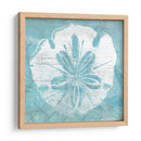 Cerulean Shell Iv - June Erica Vess | Cuadro decorativo de Canvas Lab