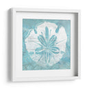 Cerulean Shell Iv - June Erica Vess | Cuadro decorativo de Canvas Lab