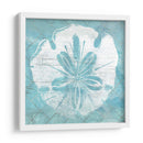 Cerulean Shell Iv - June Erica Vess | Cuadro decorativo de Canvas Lab