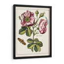 Rosa Rosada | Cuadro decorativo de Canvas Lab