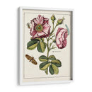 Rosa Rosada | Cuadro decorativo de Canvas Lab