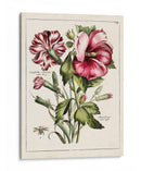 Hibisco Rosa | Cuadro decorativo de Canvas Lab