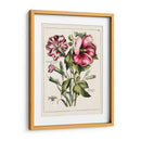 Hibisco Rosa | Cuadro decorativo de Canvas Lab