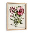 Hibisco Rosa | Cuadro decorativo de Canvas Lab