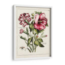 Hibisco Rosa | Cuadro decorativo de Canvas Lab