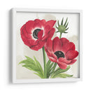 Anémonas Carmesí I - Grace Popp | Cuadro decorativo de Canvas Lab