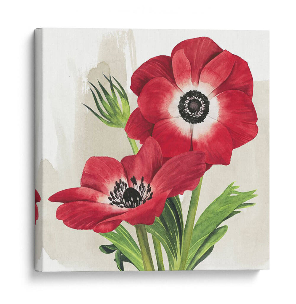 Anémonas Carmesí Ii - Grace Popp | Cuadro decorativo de Canvas Lab