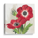 Anémonas Carmesí Ii - Grace Popp | Cuadro decorativo de Canvas Lab
