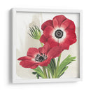 Anémonas Carmesí Ii - Grace Popp | Cuadro decorativo de Canvas Lab