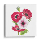 Anemone Blooms Ii - Grace Popp | Cuadro decorativo de Canvas Lab