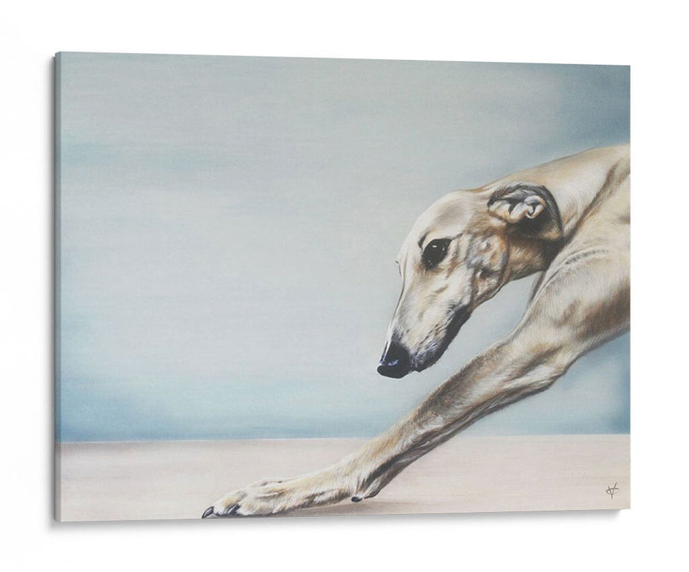 Perro Abajo - Victoria Coleman | Cuadro decorativo de Canvas Lab