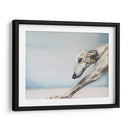 Perro Abajo - Victoria Coleman | Cuadro decorativo de Canvas Lab