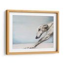 Perro Abajo - Victoria Coleman | Cuadro decorativo de Canvas Lab