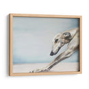 Perro Abajo - Victoria Coleman | Cuadro decorativo de Canvas Lab