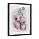Braida De Ajo I - Jennifer Paxton Parker | Cuadro decorativo de Canvas Lab