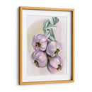 Braida De Ajo I - Jennifer Paxton Parker | Cuadro decorativo de Canvas Lab