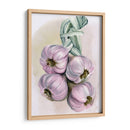 Braida De Ajo I - Jennifer Paxton Parker | Cuadro decorativo de Canvas Lab