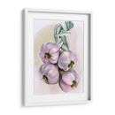 Braida De Ajo I - Jennifer Paxton Parker | Cuadro decorativo de Canvas Lab