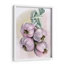Braida De Ajo I - Jennifer Paxton Parker | Cuadro decorativo de Canvas Lab
