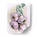 Braida De Ajo I - Jennifer Paxton Parker | Cuadro decorativo de Canvas Lab