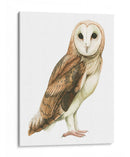 Alba I - Grace Popp | Cuadro decorativo de Canvas Lab