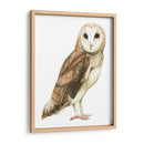 Alba I - Grace Popp | Cuadro decorativo de Canvas Lab