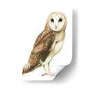 Alba I - Grace Popp | Cuadro decorativo de Canvas Lab