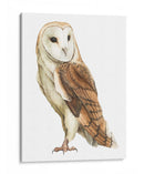 Alba Ii - Grace Popp | Cuadro decorativo de Canvas Lab