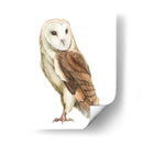 Alba Ii - Grace Popp | Cuadro decorativo de Canvas Lab