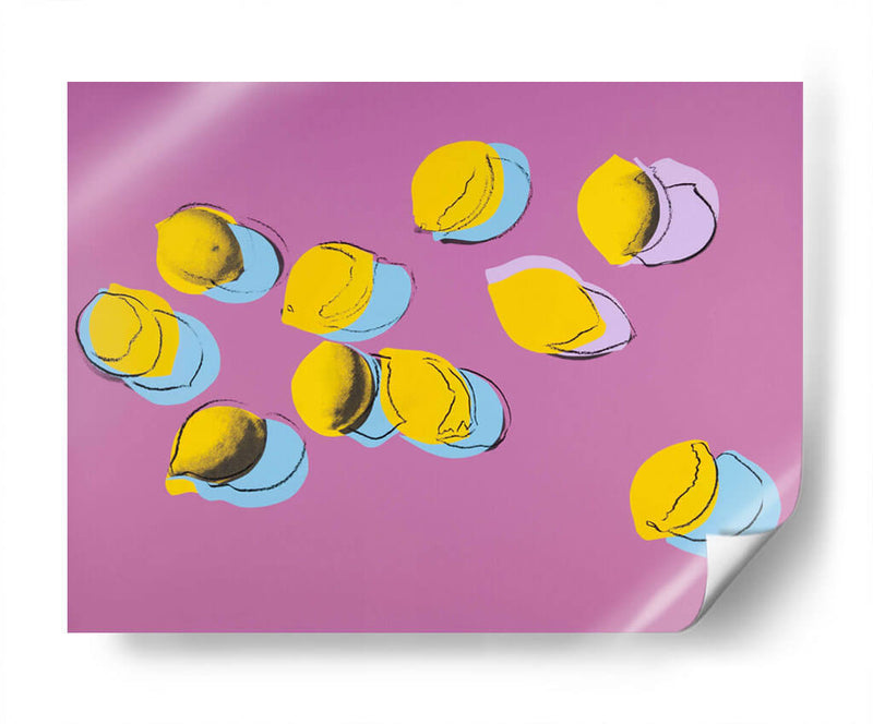 Composición cítrica | Cuadro decorativo de Canvas Lab