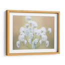 Babys Sment Study I - James McLoughlin | Cuadro decorativo de Canvas Lab