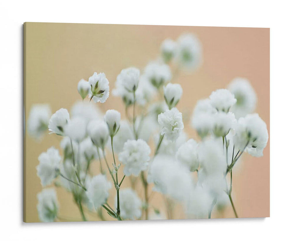 Babys Respirment Study Ii - James McLoughlin | Cuadro decorativo de Canvas Lab