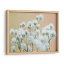 Babys Respirment Study Ii - James McLoughlin | Cuadro decorativo de Canvas Lab