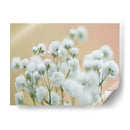 Babys Respirment Study Ii - James McLoughlin | Cuadro decorativo de Canvas Lab