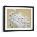 Babys Hermision Study Iii - James McLoughlin | Cuadro decorativo de Canvas Lab