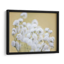 Babys Hermision Study Iii - James McLoughlin | Cuadro decorativo de Canvas Lab