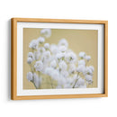 Babys Hermision Study Iii - James McLoughlin | Cuadro decorativo de Canvas Lab