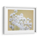 Babys Hermision Study Iii - James McLoughlin | Cuadro decorativo de Canvas Lab