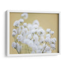 Babys Hermision Study Iii - James McLoughlin | Cuadro decorativo de Canvas Lab