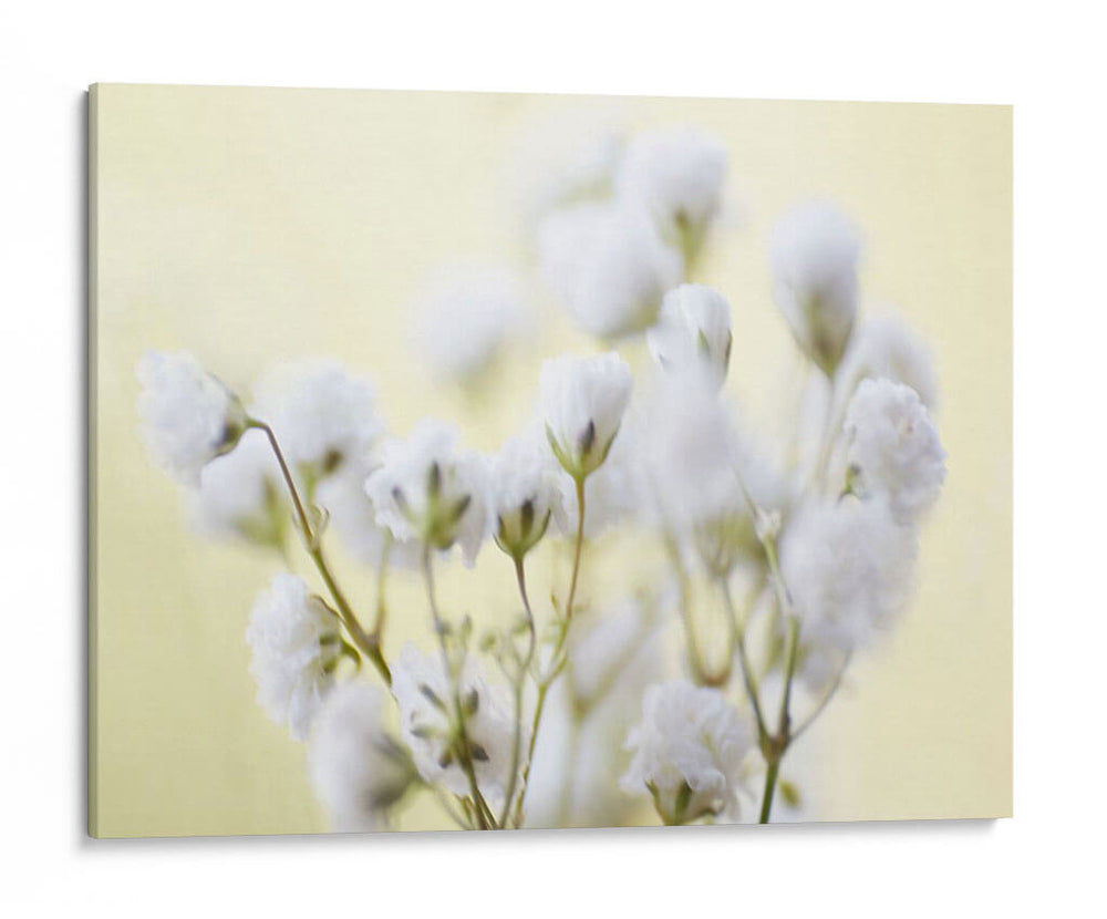 Babys Respirment Study Iv - James McLoughlin | Cuadro decorativo de Canvas Lab