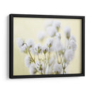 Babys Respirment Study Iv - James McLoughlin | Cuadro decorativo de Canvas Lab